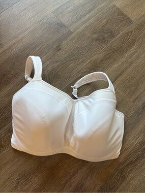 VGUC panache sports bra